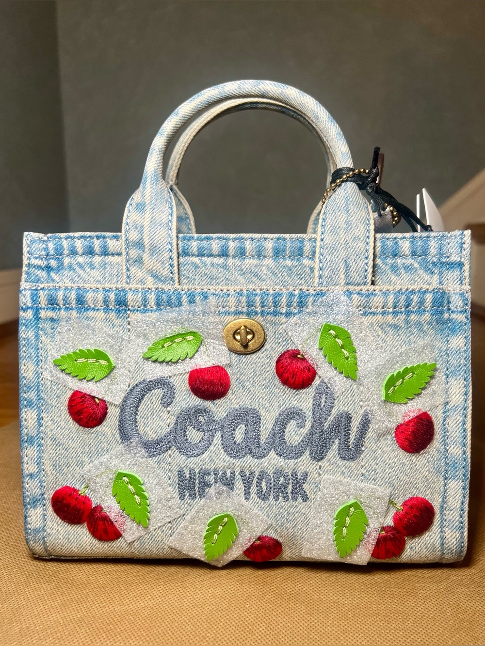 Coach Embroidered Cargo Tote 20